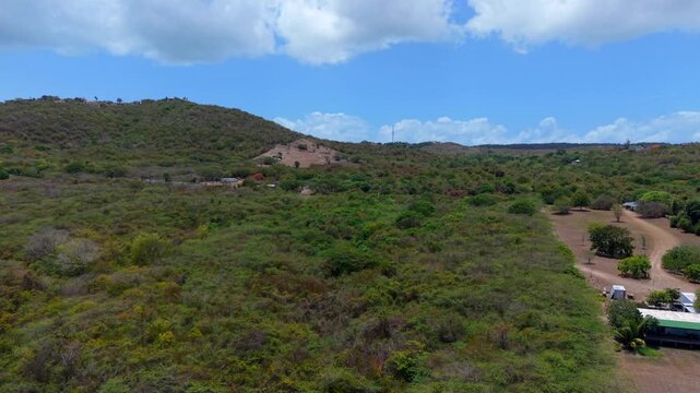 Dense Forest And Mountainous Terrain Rise Above The Dark Volcanic Sand Shoreline At Playa Negra On Vieques Island, Puerto Rico. Aerial Tilt-up Shot