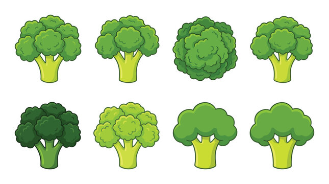 Broccoli variations illustrated in a vibrant green vector style