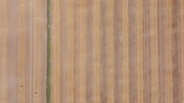 Looking straight down, a drone captures a red tractor driving across the parallel rows of a harvested straw field. The overhead view emphasizes the abstract beauty of agricultural work.