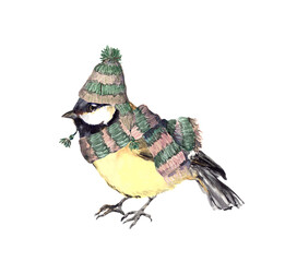 Watercolor chickadee with green striped knit cap and scarf, layered feather detail on white background, suitable for nature prints and winter branding. Part of a coordinated matching pattern set. © zzorik