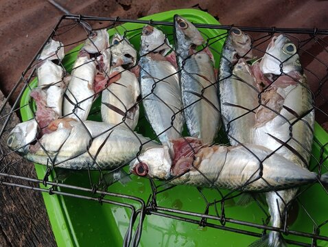 Fresh raw whole fish arranged in a wire basket over a green plastic container, showing freshly cleaned seafood prepared for cooking and consumption