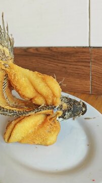 Fried fish