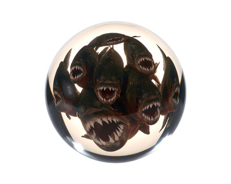 Multiple piranha fish heads inside a clear glass marble sphere isolated on transparent background png cutout
