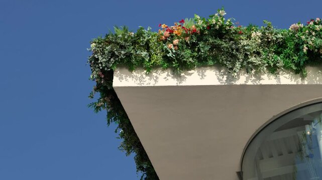 Urban rooftop garden with green plants and colorful flowers under blue sky