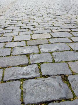 Weathered cobblestones form a historic street surface. Green moss creeps between stone cracks.