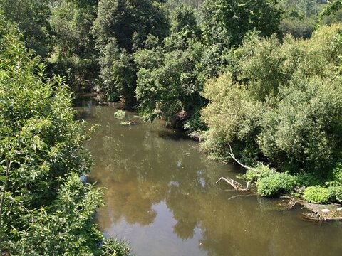 River flowing through green forest with reflections. Portugal - Norte