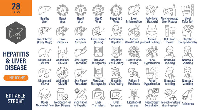 Set of 28 hepatitis and liver disease line icons representing various medical conditions, diagnostic procedures, symptoms, and treatments for liver health