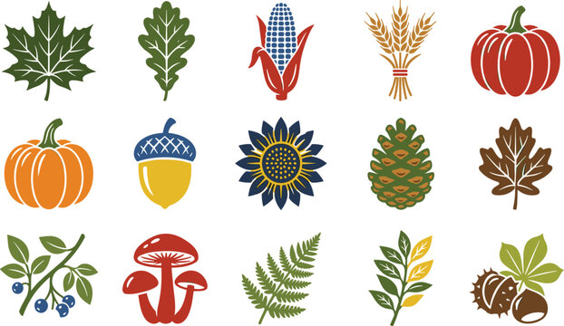 Colorful Autumn Nature Icon Set with Maple Leaves Oak Leaf Corn Wheat Pumpkins Acorn Sunflower Pinecone Berries Mushrooms Chestnut Fern