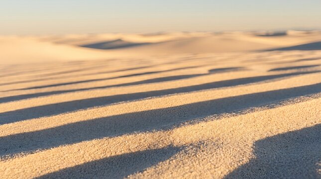 Desert sand dunes with dramatic shadows at golden hour