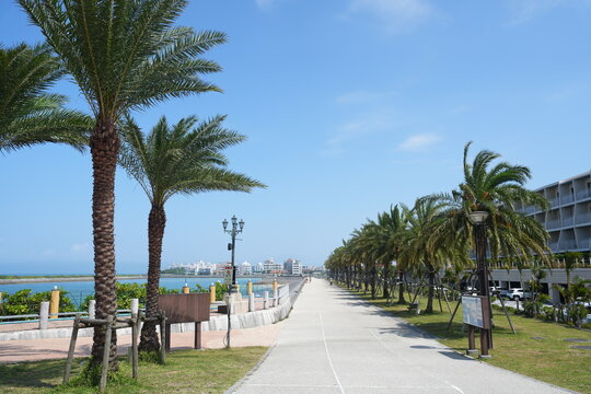 Okinawa　旅行