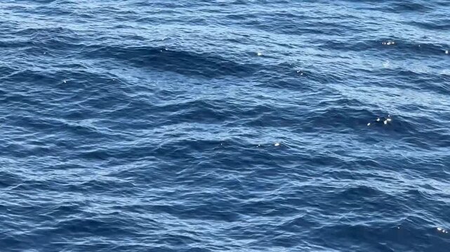 Calm ocean waves with gentle ripples and sunlight reflections on deep blue water surface.