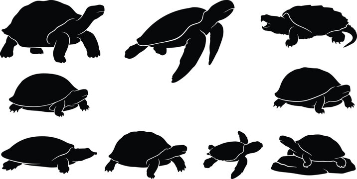 Turtles and tortoises silhouettes vector set