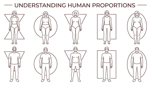 Understanding human proportions and diverse body shapes.
