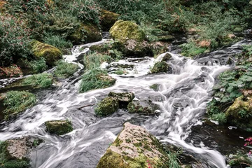 Fotobehang Bos rivier Flowing river in the middle of the forest  © byJan