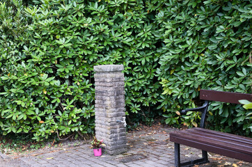 Wasserstelle neben einer Holzbank auf dem Hauptfriedhof  in Mülheim Ruhr © Blende8