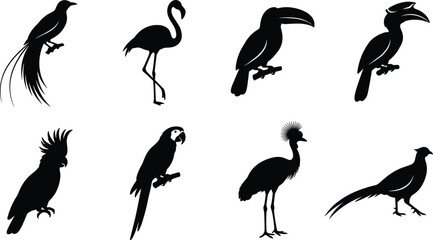 Naklejka premium Black Silhouette Icons of Exotic Birds and Wildlife Species