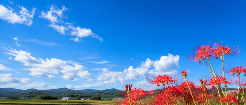 秋の青空と赤い彼岸花を描いた広いコピースペースの田園風景