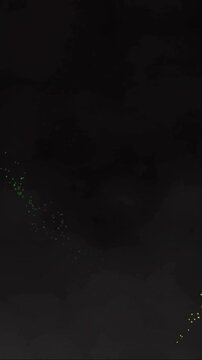 Animation of colourful fireworks on black background