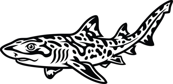 Leopard Shark Swimming Marine Life Vector Illustration for Educational Posters, Wildlife Infographics & Ocean Conservation Branding (EPS)