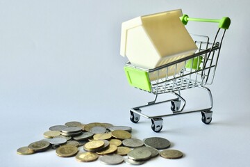 Model house inside a miniature shopping cart placed near a scattered pile of coins on a white background, symbolizing real estate buying, housing market affordability, and property investment. © Akram
