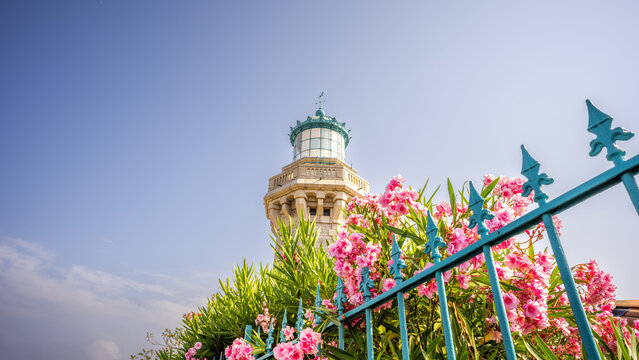 phare mont saint clair rose