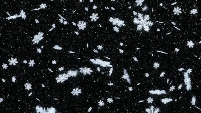 Realistic falling snowflakes overlay on black background, for winter holiday, motion and christmas, visual effects