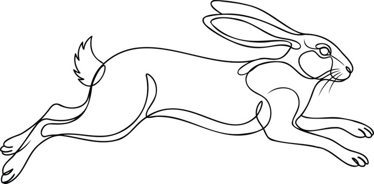 Black and white line of a wild hare in a dynamic running pose line hare rabbit animal wildlife