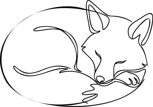Sleeping red fox curled up in a peaceful slumber, line sleeping fox line black and white animal portrait