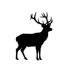 Fototapeta premium Majestic Stag Silhouette, Isolated on Transparent Background