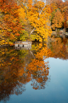 Calm river surrounded by colorful autumn trees in Sk&aring;ne, Sweden. Peaceful seasonal landscape, creating a scenic atmosphere for outdoor recreation and travel.