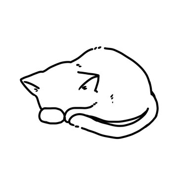 Cute hand drawn chibi cat sleeping curled up line art illustration