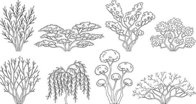 Collection of outline shrub and bush illustrations for landscape architecture and garden design