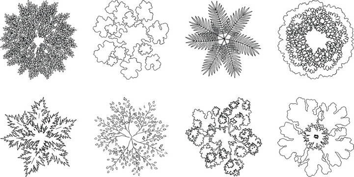 Tree top view architectural CAD vector line drawing set for landscape site plan layout
