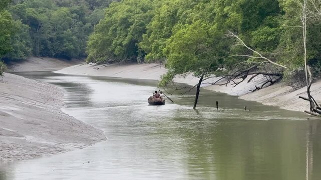 Khulna, Bangladesh &ndash; March 20, 2025: Local Fishermen Row Wooden Boat Through Sundarbans Mangrove Forest