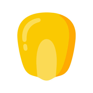 Single yellow corn kernel isolated graphic illustration Vector