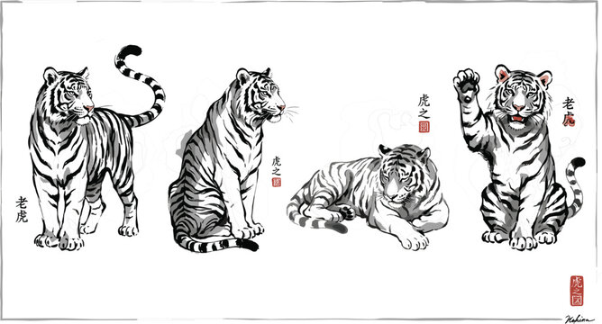 Asian ink wash tiger illustrations vector set featuring traditional artistic wild animal poses
