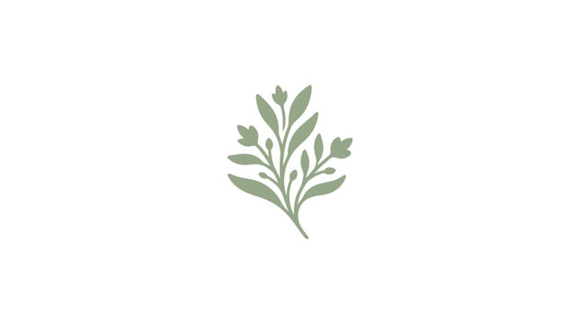 Simple botanical sprig with leaves in sage green