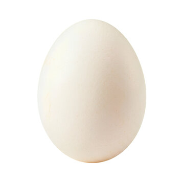 Whole raw chicken egg with smooth white shell isolated on solid white background