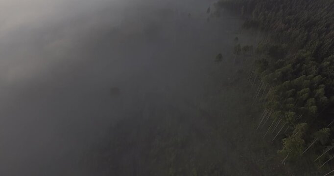 Dichter Nebel &uuml;ber Waldwipfeln bei Sonnenaufgang, gefilmt mit DJI Inspire 1 Pro und Zenmuse X3, D-Log