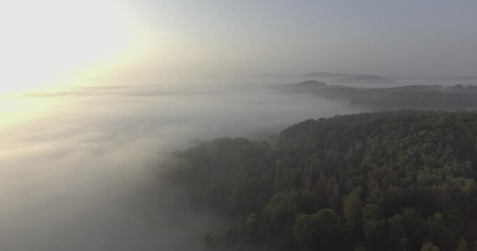 Dichter Nebel &uuml;ber Waldwipfeln bei Sonnenaufgang, gefilmt mit DJI Inspire 1 Pro und Zenmuse X3, D-Log