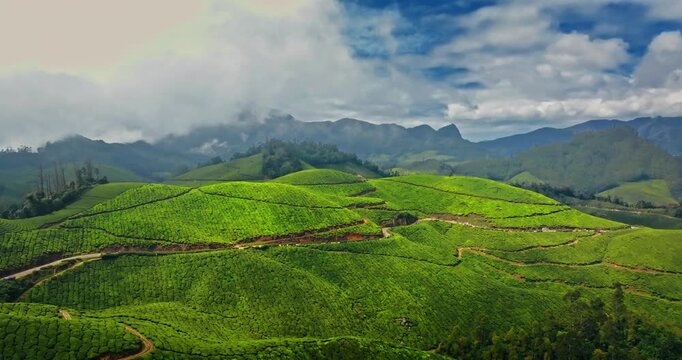Aerial view of the lush green tea plantations of Munnar, Kerala, covering rolling hills under a bright blue sky with scattered clouds, the scenic beauty of this popular hill station in South India.