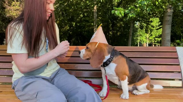 Woman Pet Owner Feeding Beagle Wearing Birthday Hat on Park Bench.mp4