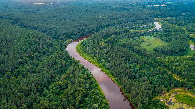 aerial panorama of the Gauja River flowing through dense green pine forests in Gauja National Park near Sigulda, Latvia