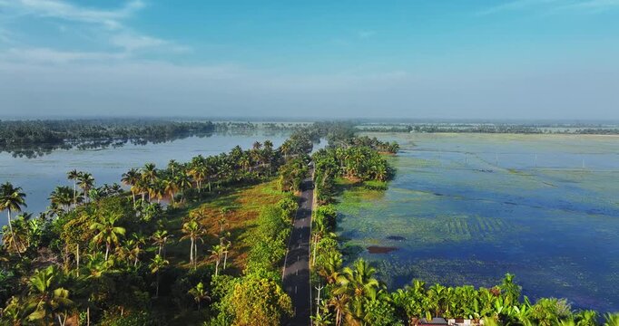 Aerial view of rural Kerala featuring lush coconut palm plantations, quiet village roads, and serene backwaters reflecting the sky, capturing the peaceful tropical landscape of South India.