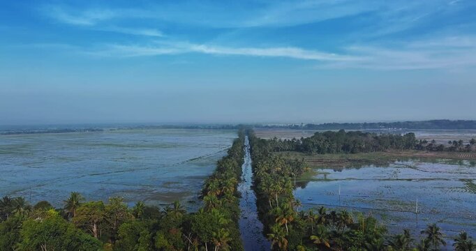 Aerial view of rural Kerala featuring lush coconut palm plantations, quiet village roads, and serene backwaters reflecting the sky, capturing the peaceful tropical landscape of South India.