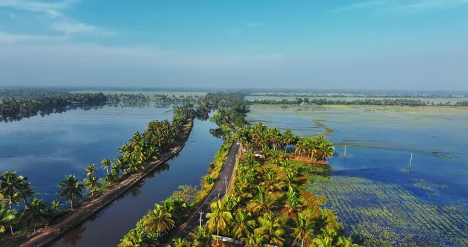 Aerial view of rural Kerala featuring lush coconut palm plantations, quiet village roads, and serene backwaters reflecting the sky, capturing the peaceful tropical landscape of South India.