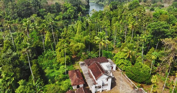 Aerial view of rural Kerala featuring lush coconut palm plantations, quiet village roads, and serene backwaters reflecting the sky, capturing the peaceful tropical landscape of South India.