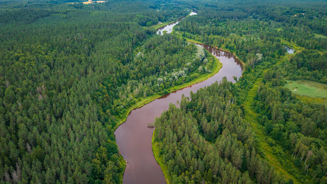 aerial vista showing the serpentine curve of Gauja River flowing through untouched green forests in Gauja Valley, Latvia