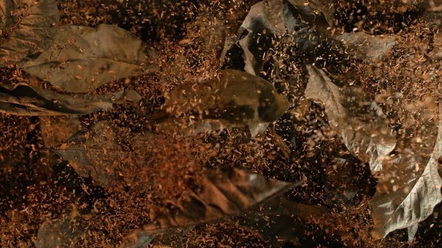 Super Slow Motion Shot of Tobacco and Dried Tobacco Leaves Exploding Towards Camera at 1000fps.