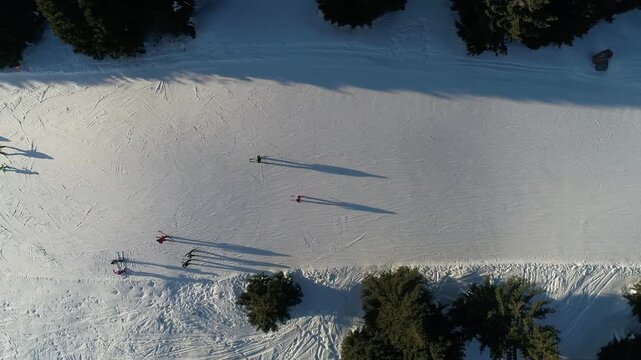 Aerial view of skiers on a snow-covered slope at Kopaonik mountain resort with pine trees casting long shadows in Kopaonik, Rasina District, Serbia.